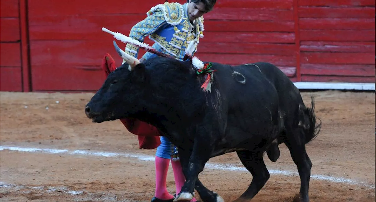 Niegan suspensión definitiva contra corridas de toros; Plaza México mantendrá espectáculo taurino