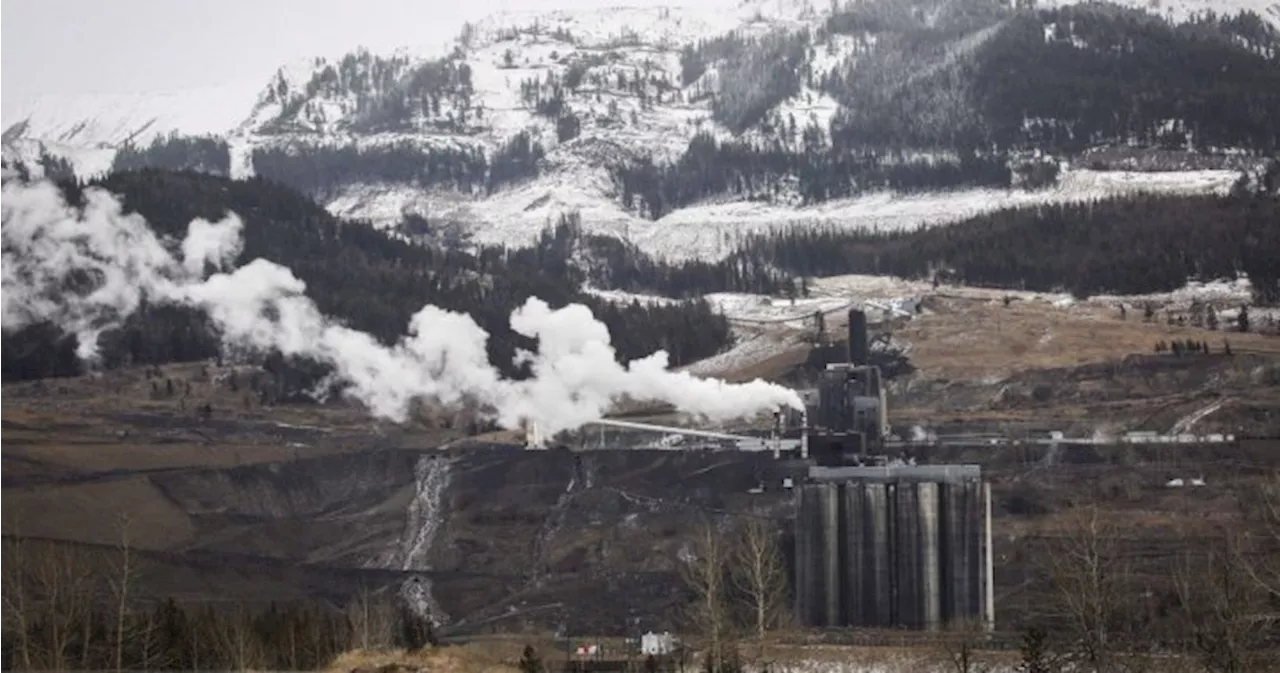 Federal Court allows judicial review of Rocky Mountain coal mine denied by panel