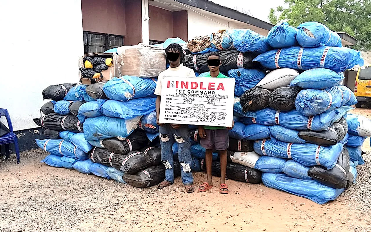 NDLEA Arrests 24 Suspected Drug Traffickers and Dealers