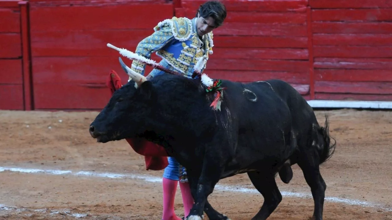 Corridas de toros se mantienen en la CDMX, juez rechaza su suspensión