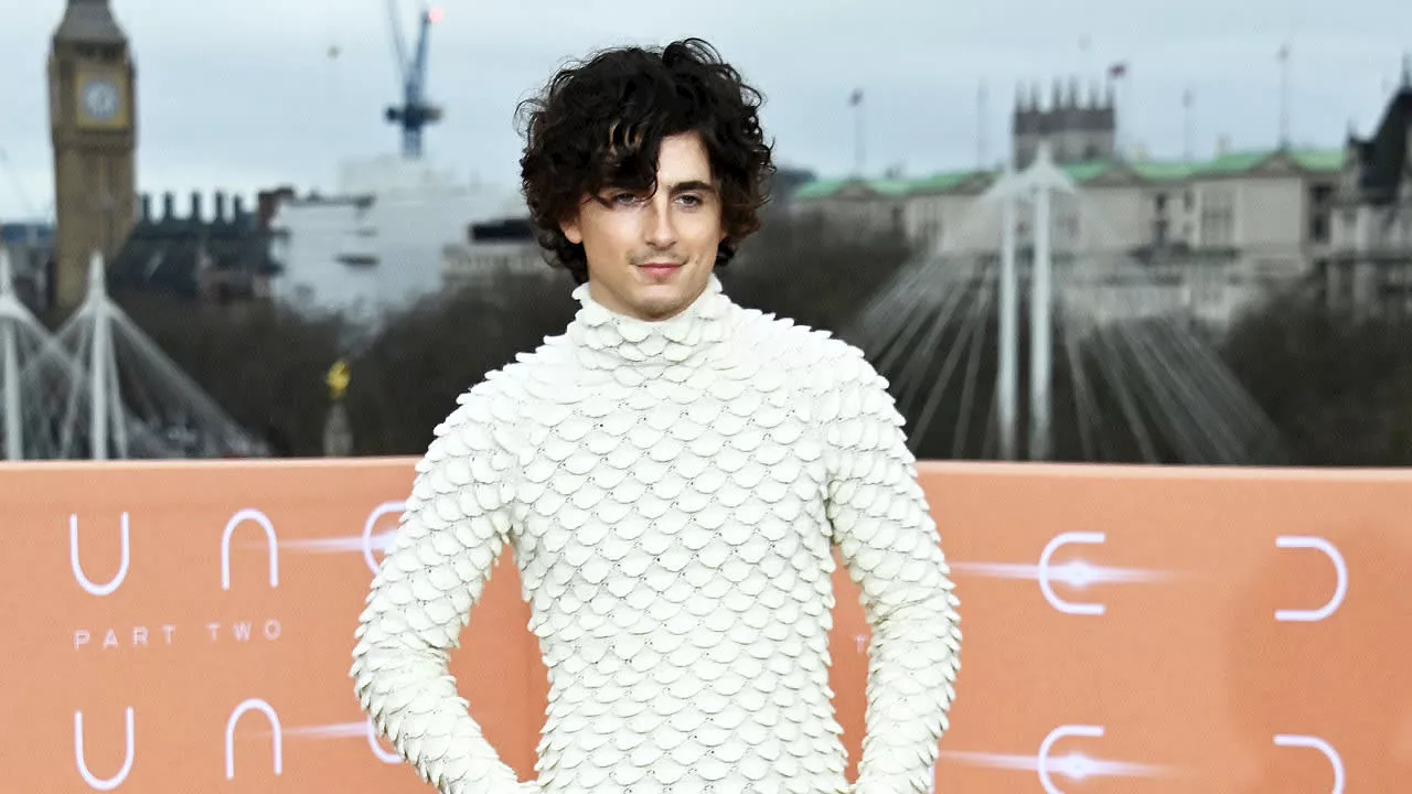 Timothée Chalamet desafía las barreras de la moda con un original jersey de 'escamas'