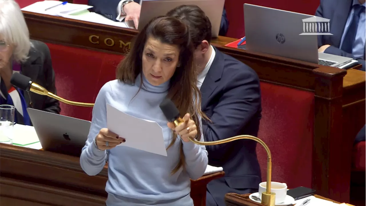 Assemblée : L’attitude d’Agresti-Roubache avec le RN crispe jusqu’à la majorité