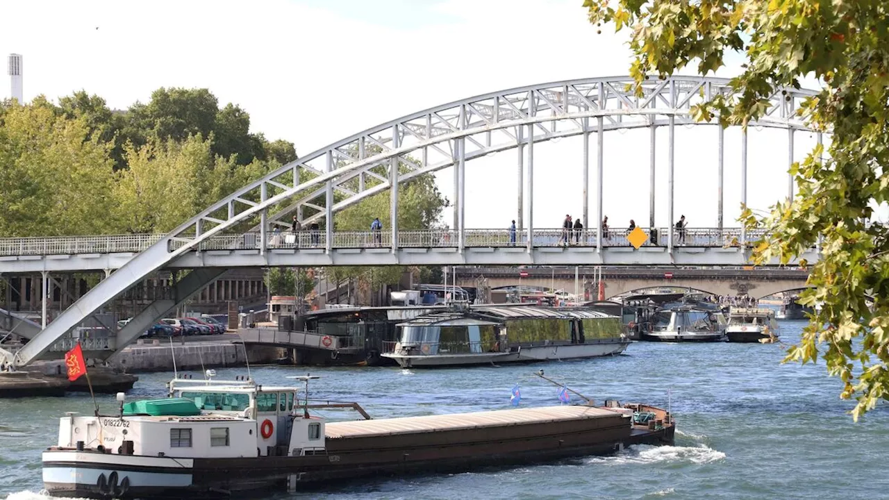 JO 2024 : comment les restrictions de circulation sur la Seine pourraient être allégées pour les céréaliers