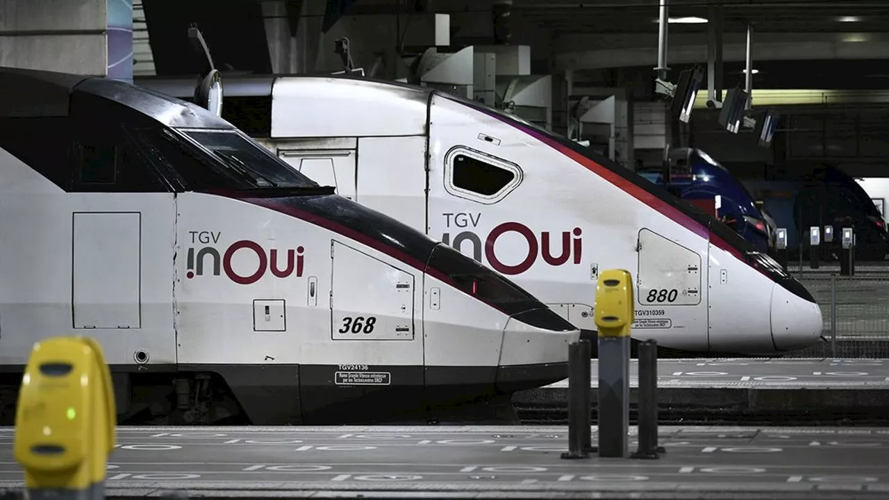 Grève à la SNCF : la direction vise « un TGV sur deux » ce week-end