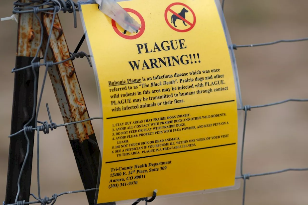 Oregon resident has the plague. Here’s what to know.