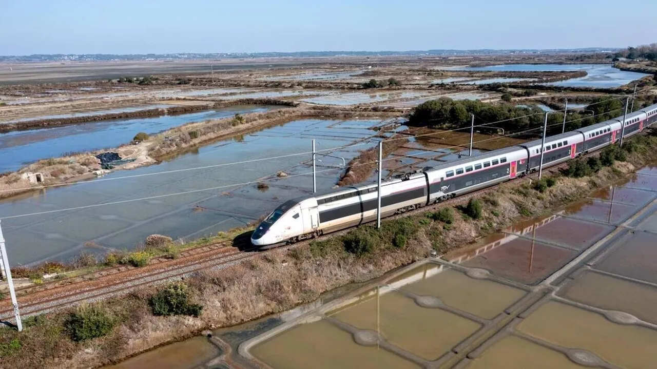 Grève des contrôleurs SNCF ce week-end : la direction veut faire rouler « un TGV sur deux »