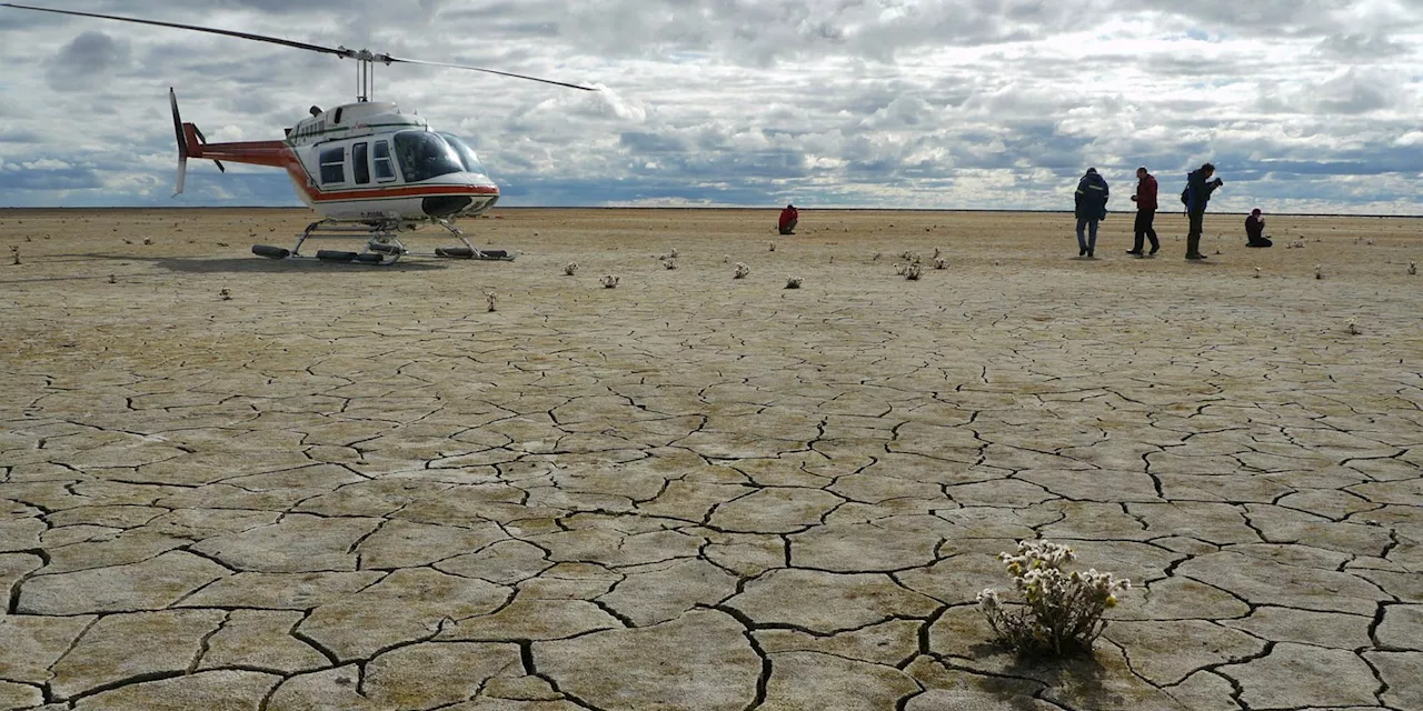 Canadian Drought Monitor reports extreme or severe drought conditions in large areas of British Columbia, ...