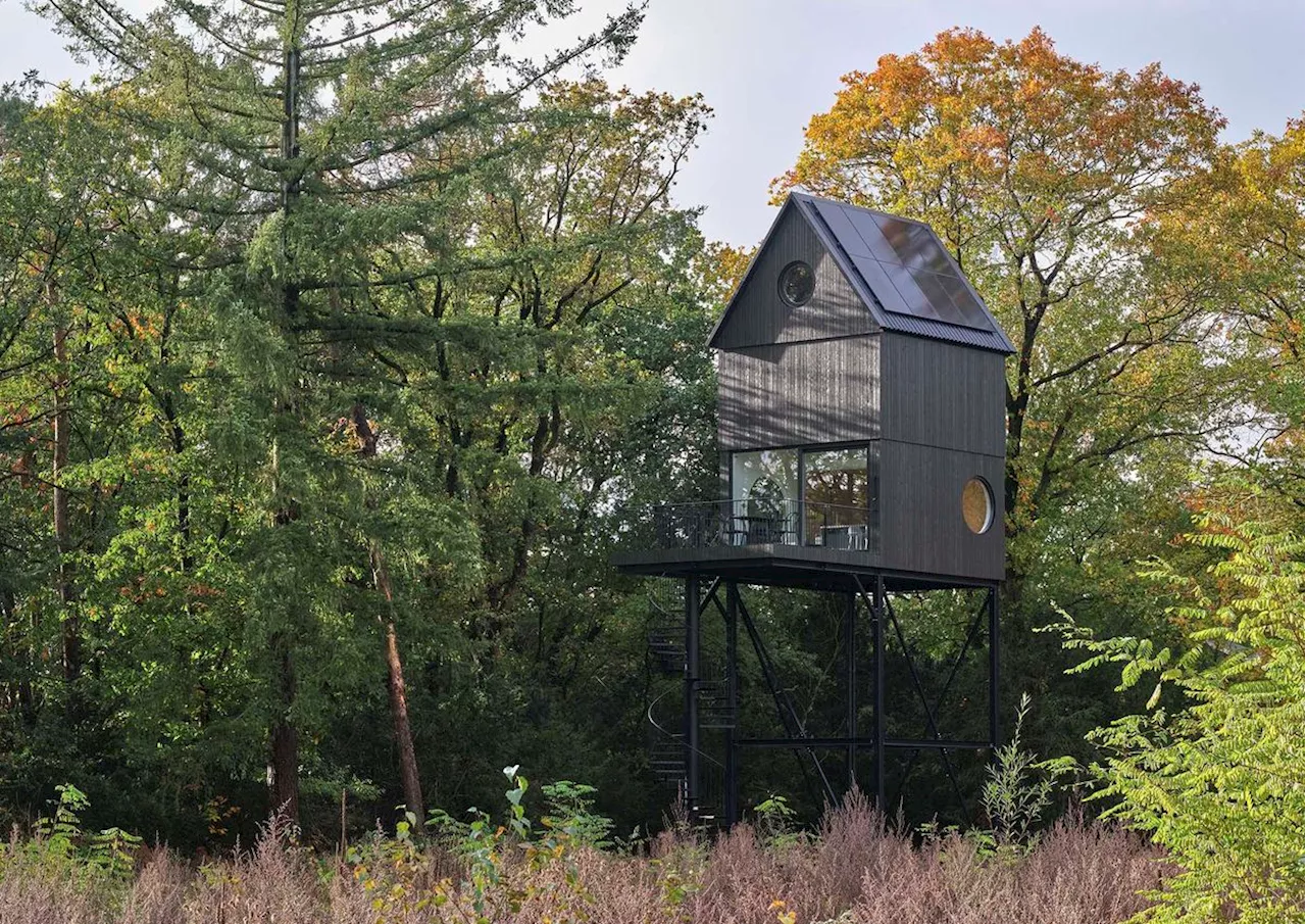 A nest house in the Netherlands immerses residents in nature