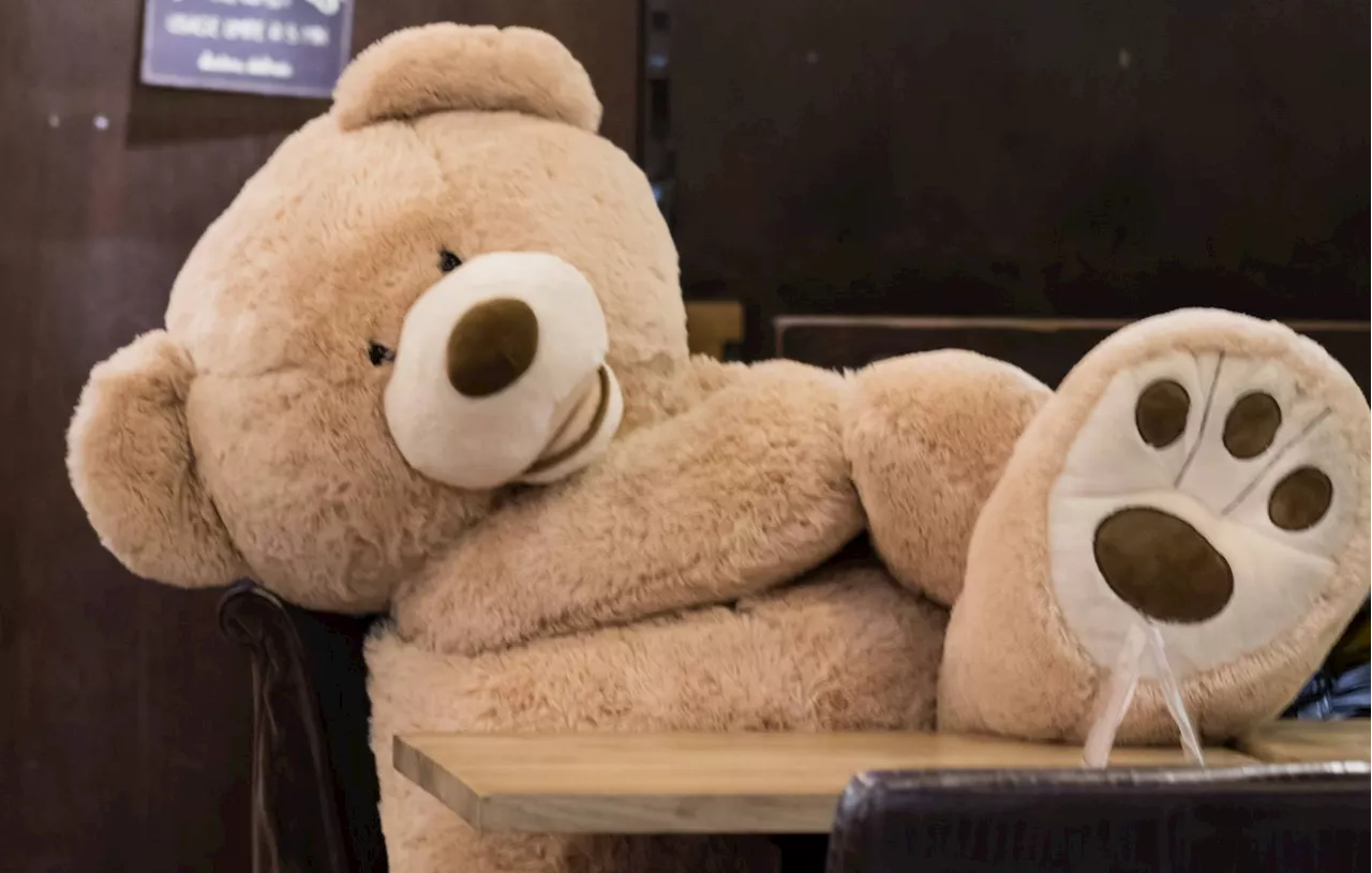 Pérou : Un costume d’ours romantique permet la capture de trafiquantes de drogue