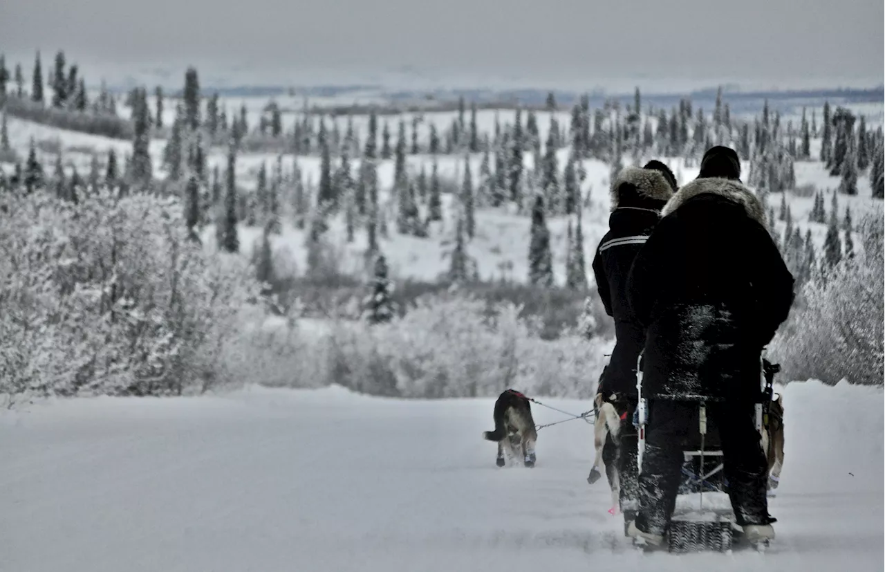 Polaris and snowmachine rider who hit sled dog team charged with reckless driving