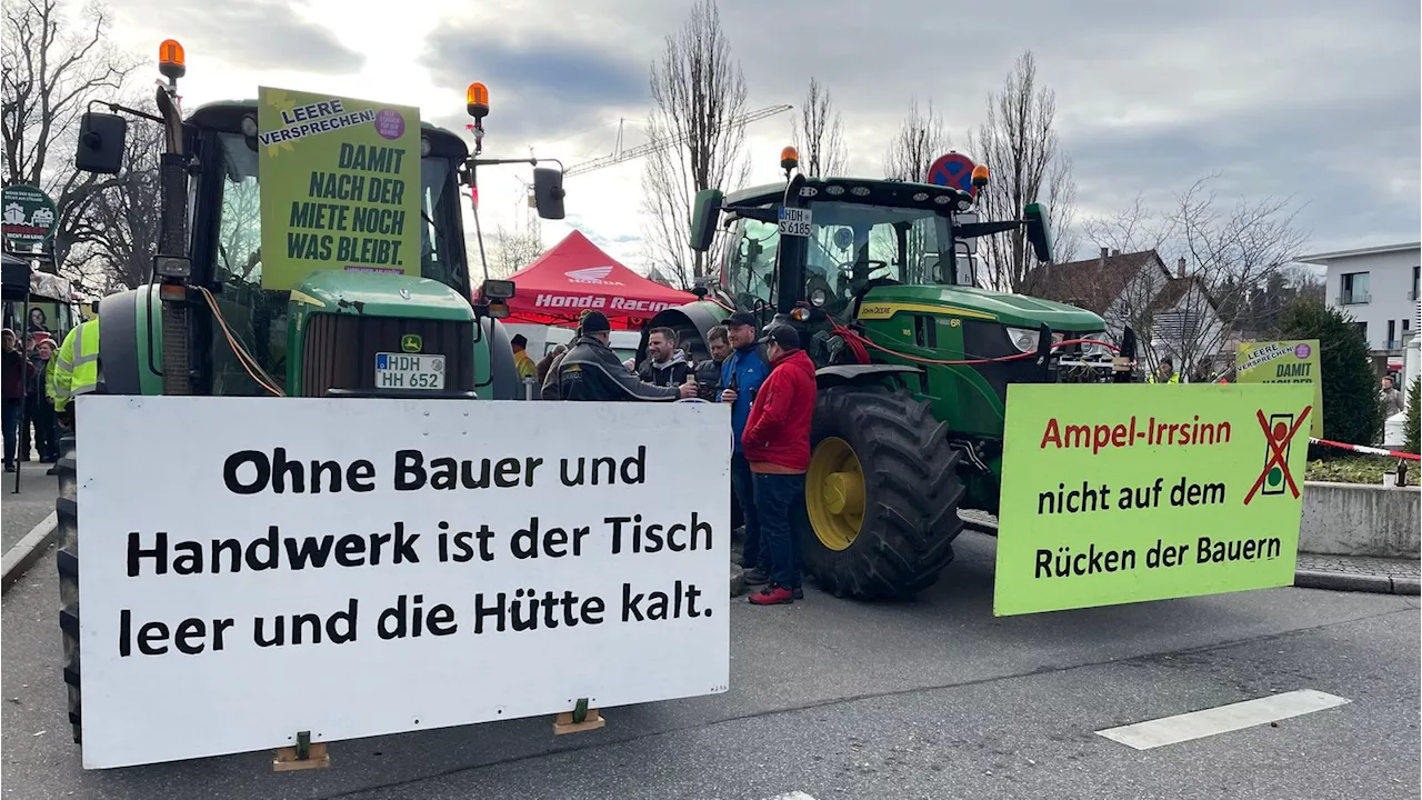 Feindbild Grüne: Warum diese Wut?