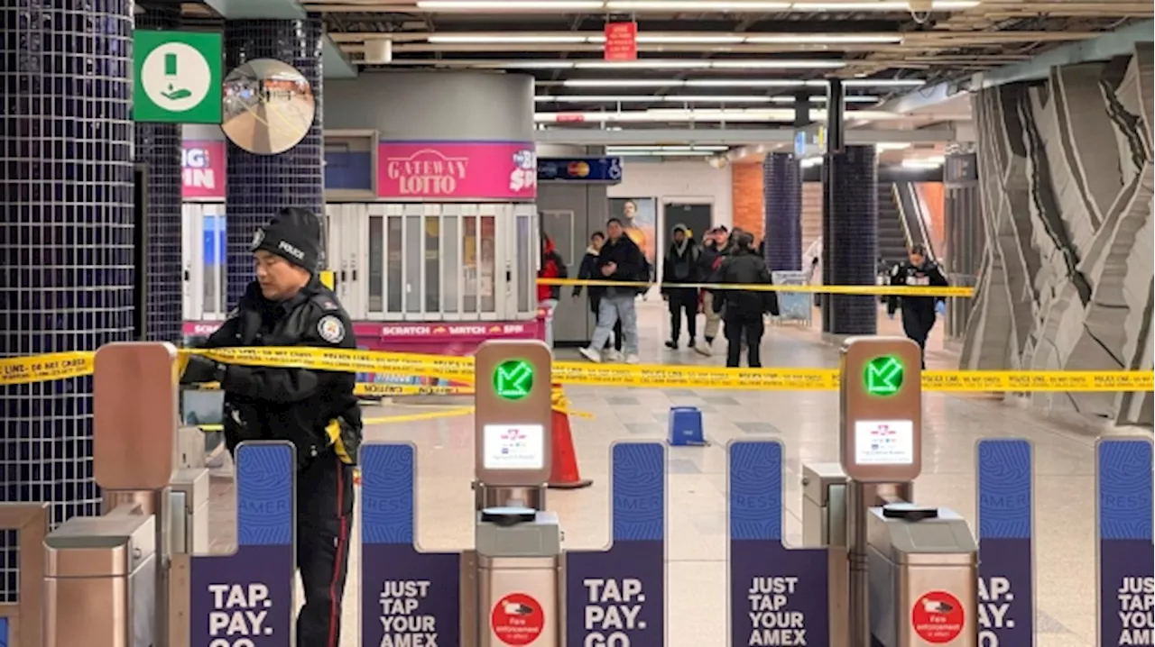 Man in hospital with serious injuries following stabbing at Wilson subway station