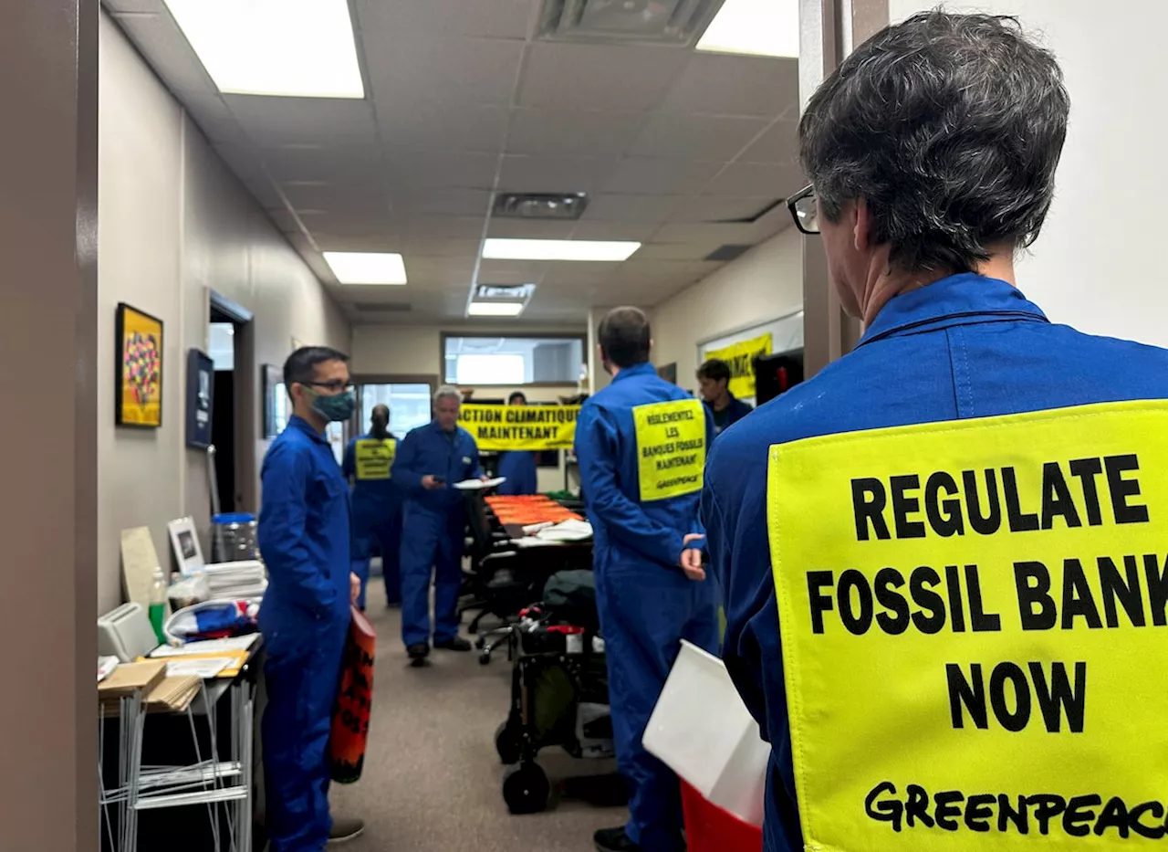 Greenpeace activists storm Chrystia Freeland’s Toronto office demanding climate laws for banks