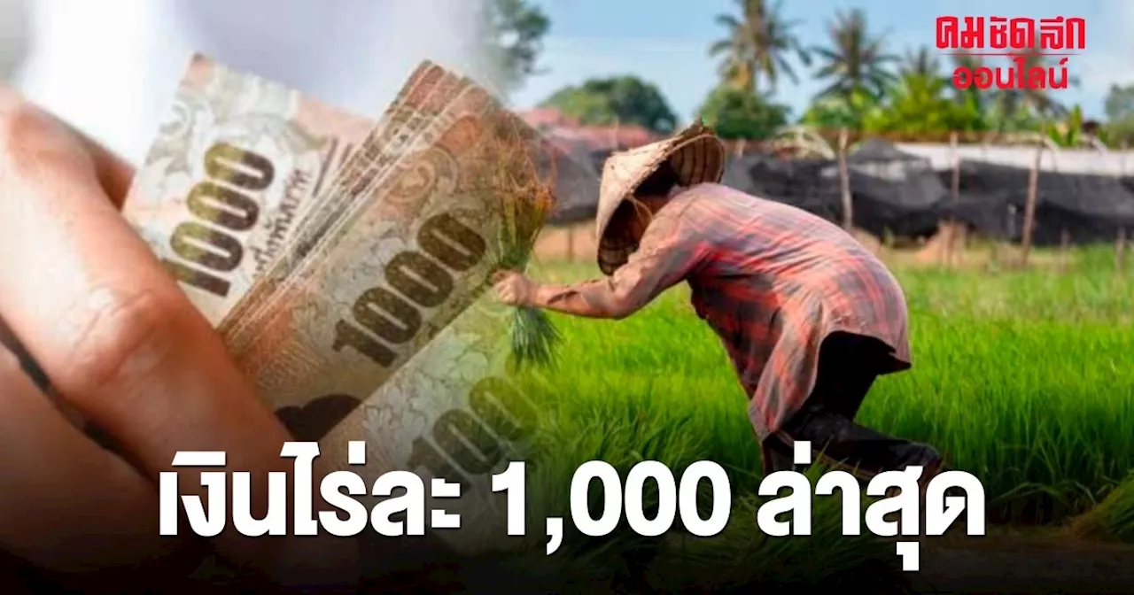 'ตรวจเงินไร่ละ 1,000 ปี 66/67 ล่าสุด' เช็กด่วน ธ.ก.ส. โอนเงิน อีก 8 งวด