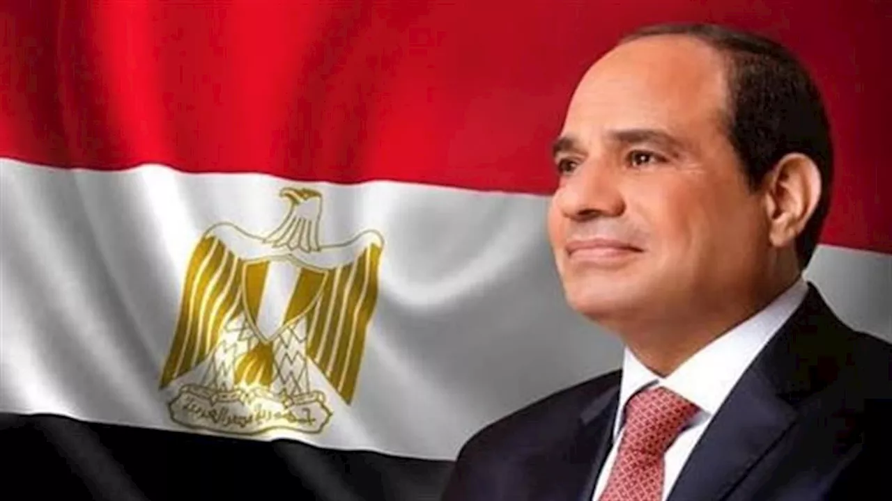 الرئيس السيسي يُحذر من خطورة التصعيد في غزة.. ويؤكد ضرورة تفعيل مسار حل الدولتين