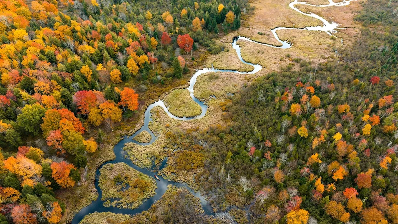 10 wild and wondrous things to do in West Virginia