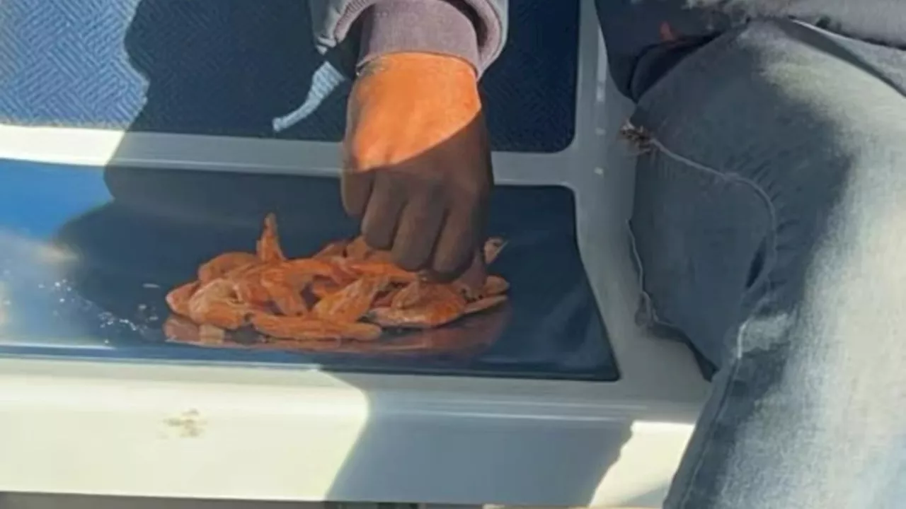 Viral TikTok shows man eating shrimp off Chicago train seat; CTA has perfect response