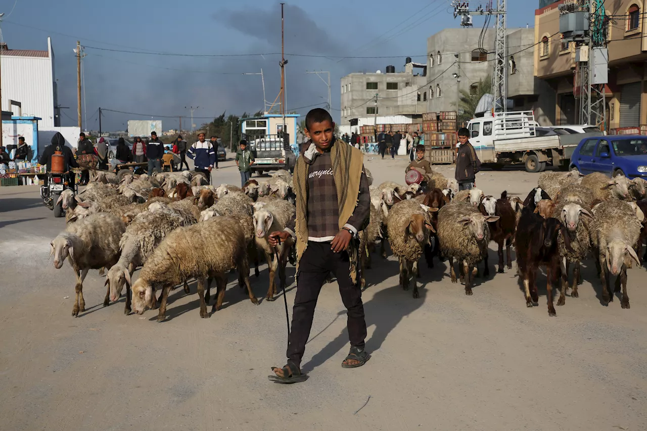 Israeli forces storm main hospital in southern Gaza after prolonged standoff and partial evacuation