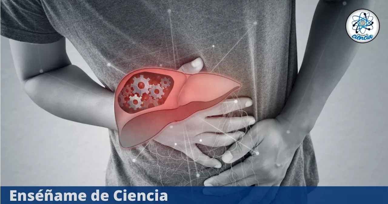 Señales CLARAS que le pasan a tu cuerpo cuando tu hígado está enfermo, ¡atento!