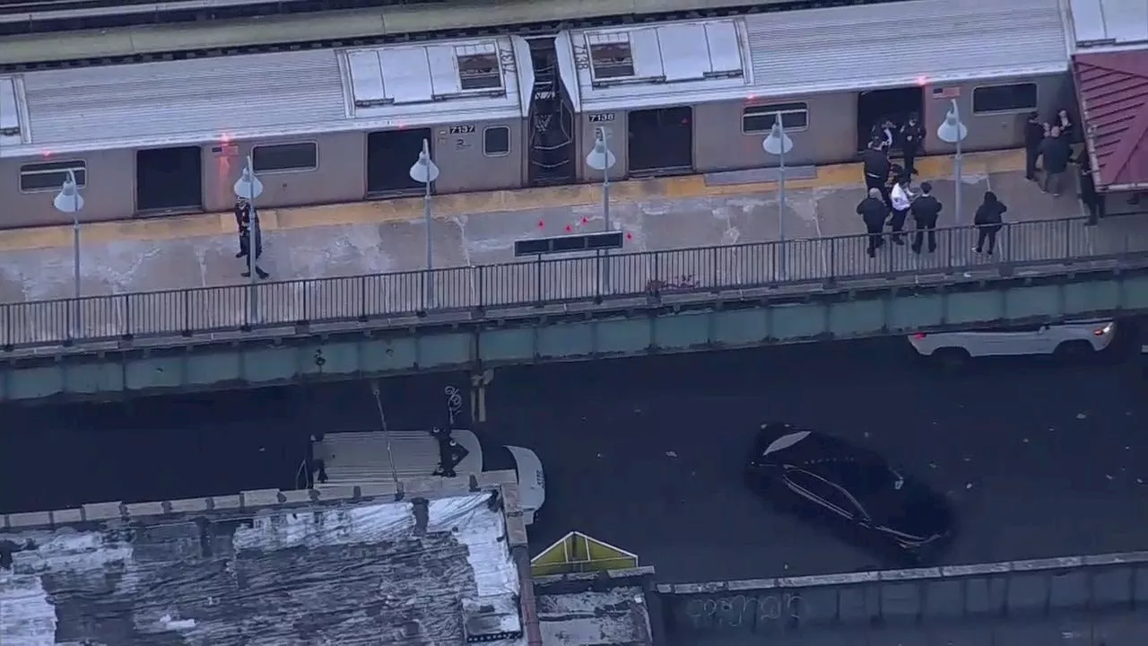 Bronx subway shooting: 16-year-old suspect charged with murder