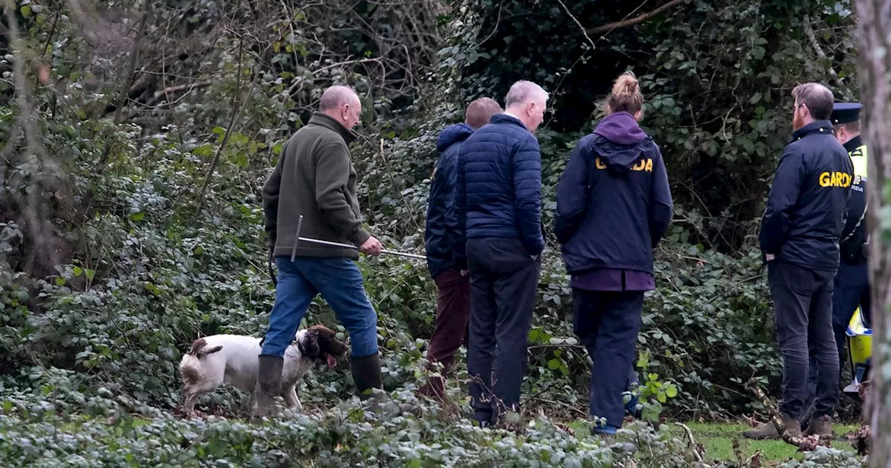 Cadaver dogs signal discovery as gardai dig up park in search for missing man