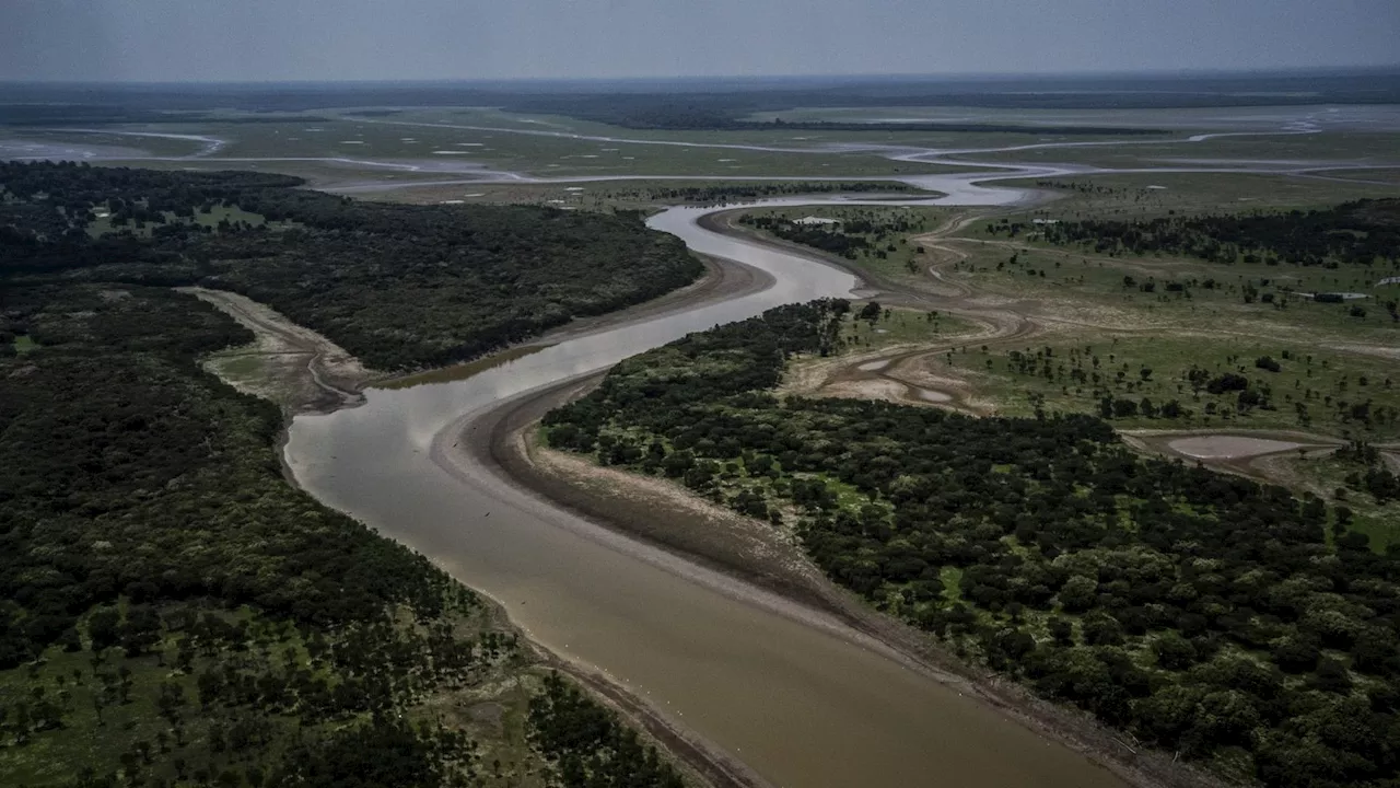 El Amazonas ha perdido la mitad de su superficie