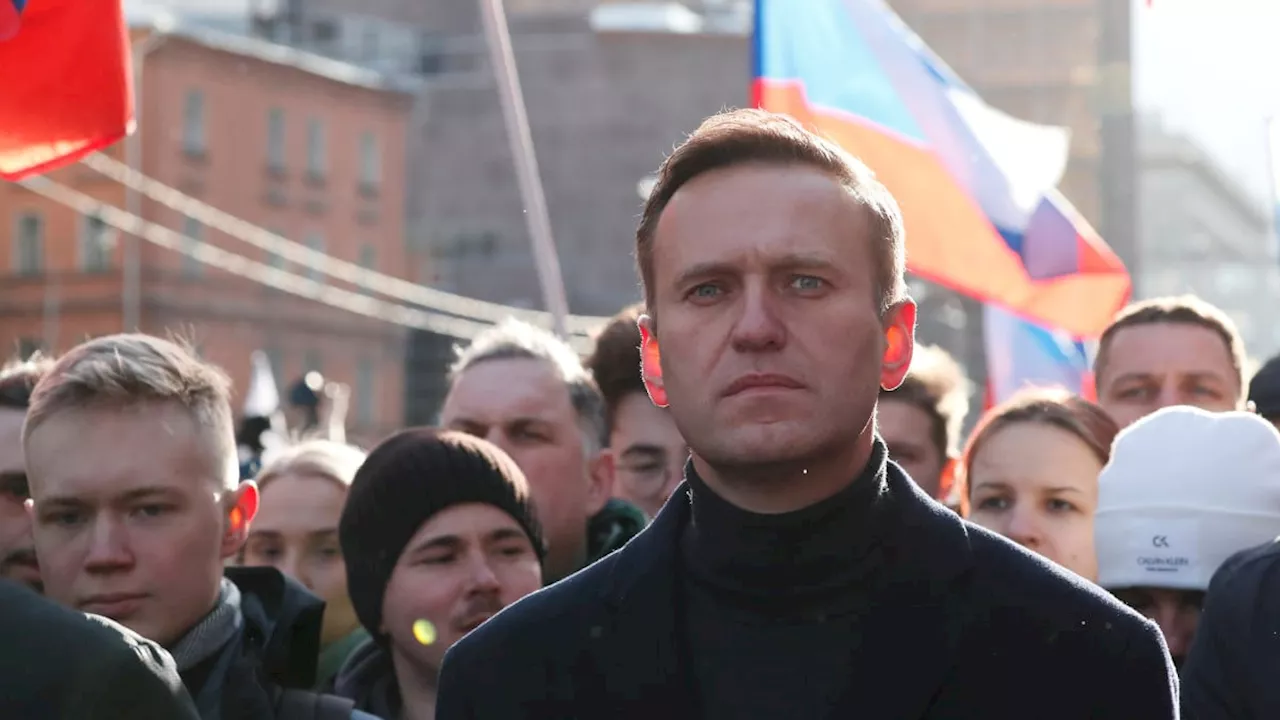 Alexei Navalny, opositor de Putin, morreu envenenado? Veja o que se sabe