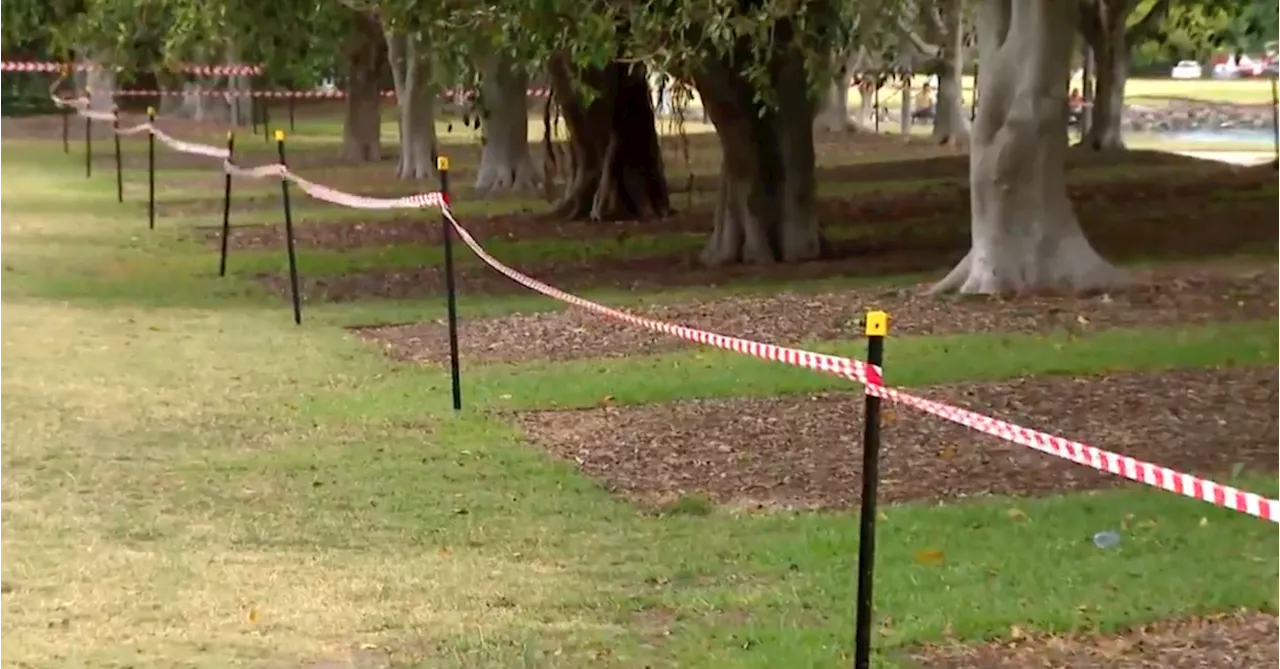 'Vanishingly small' risk to children as another school and park test positive for asbestos