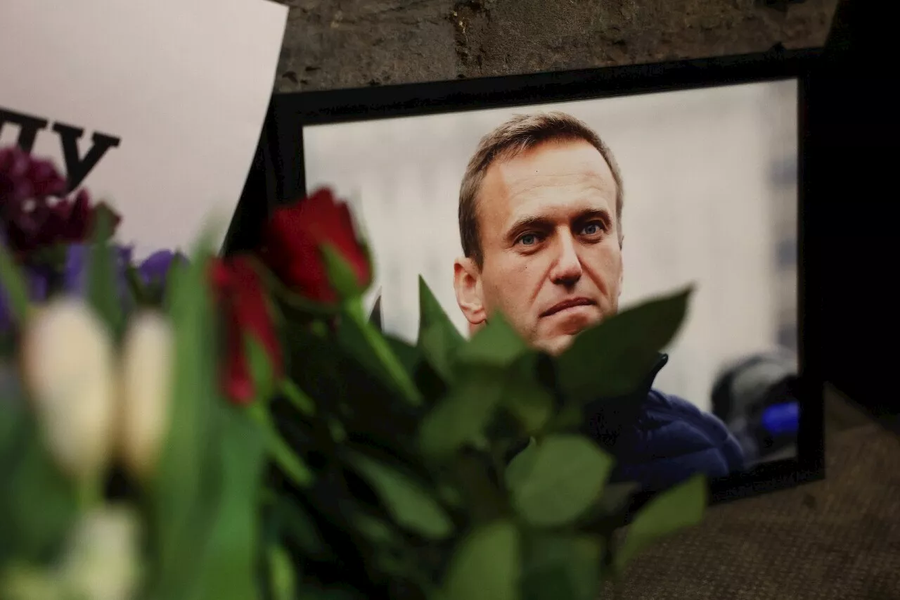 Mort d'Alexeï Navalny : les réactions des pays occidentaux