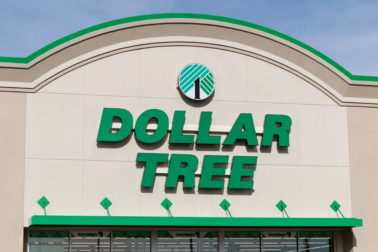 8 Warnings to Shoppers From Ex-Dollar Tree Employees