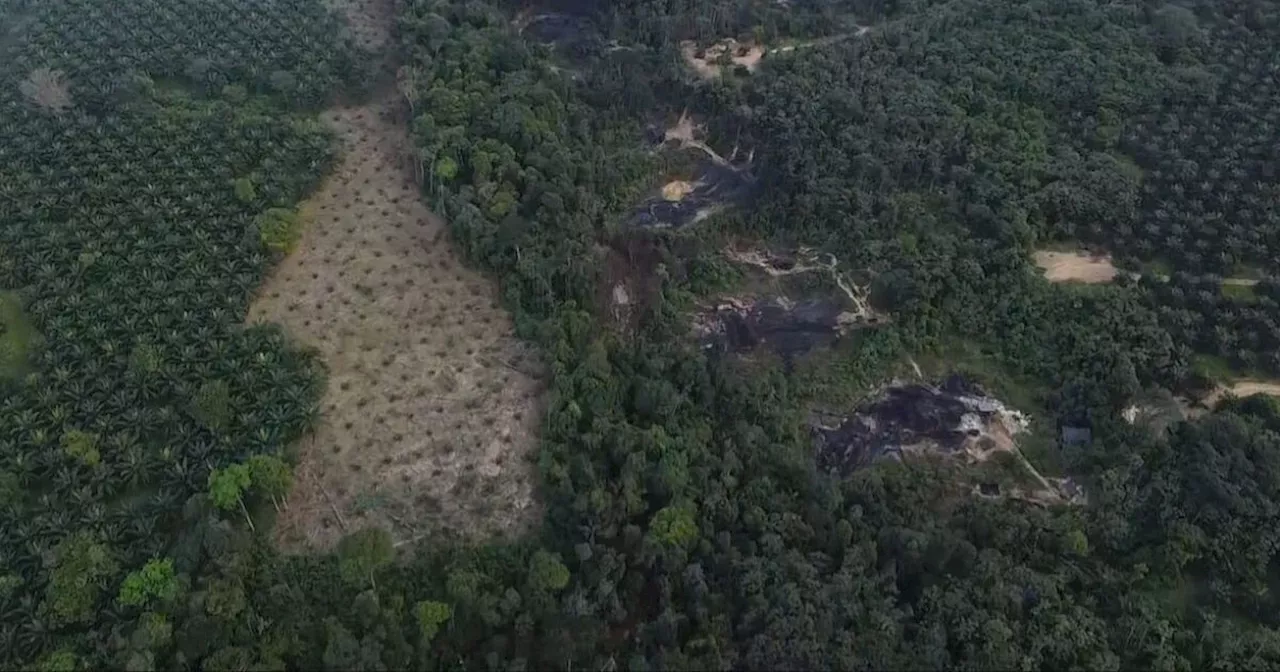 En el Catatumbo, Norte de Santander, ubican 10 refinerías ilegales