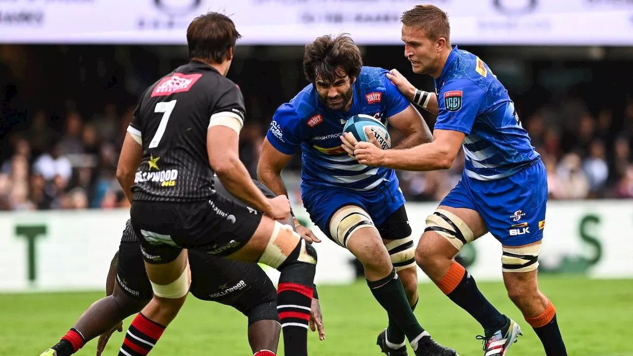 DHL Stormers Extend Winning Streak Against Sharks