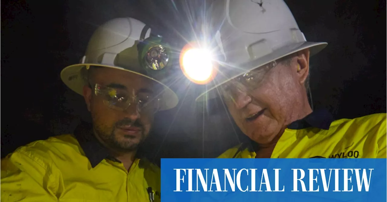 Andrew Forrest-owned nickel miner Wyloo says “courageous, big-thinking policy” is needed to save the industry