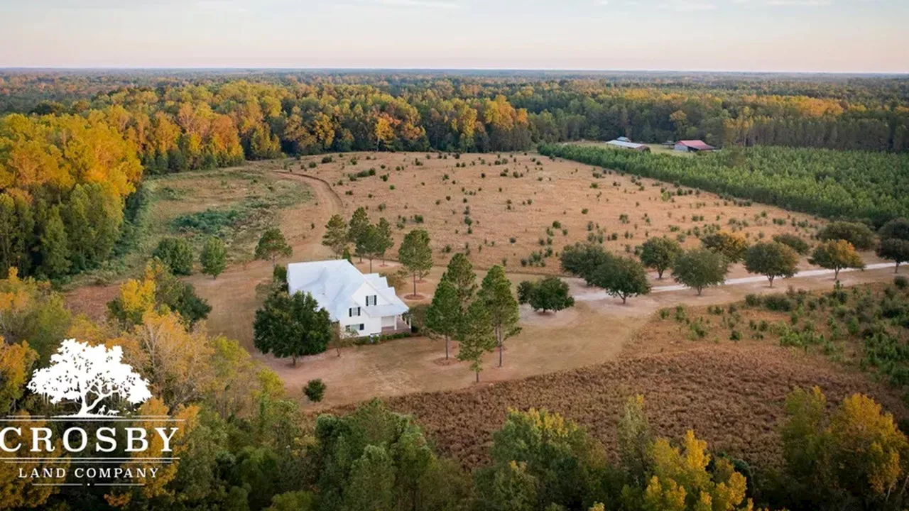 Murdaugh family's infamous Moselle Estate to become horse farm after selling for $1 million