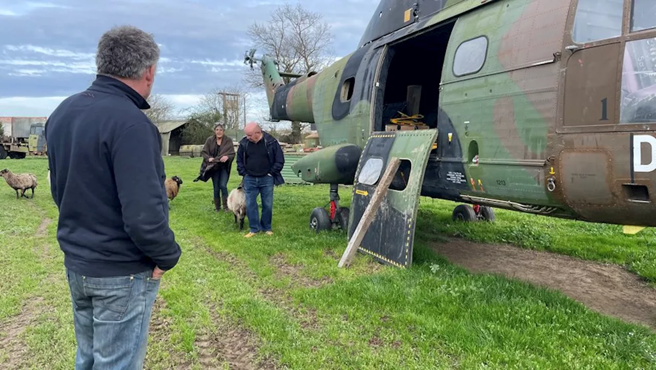 Hélicoptère, chars d'assaut, Jeep : la collection de l'association VH 82 raconte une autre histoire