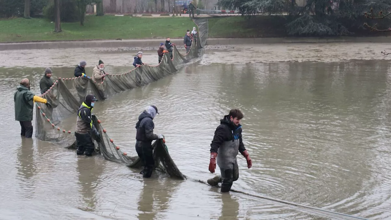 La Maison de la pêche et de la nature, sentinelle de la Seine depuis 30 ans