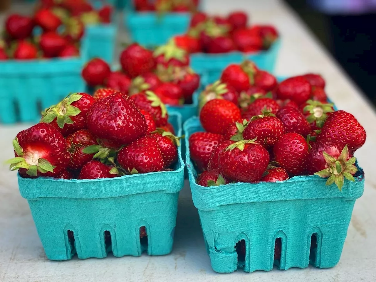 Too much rain has Carlsbad strawberry farmer seeing red — for now