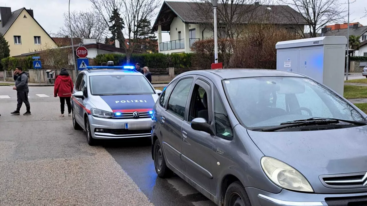 Wiener Neustadt: Polizei-Einsatz bei Schlägerei von Sperrmüll-Sammlern