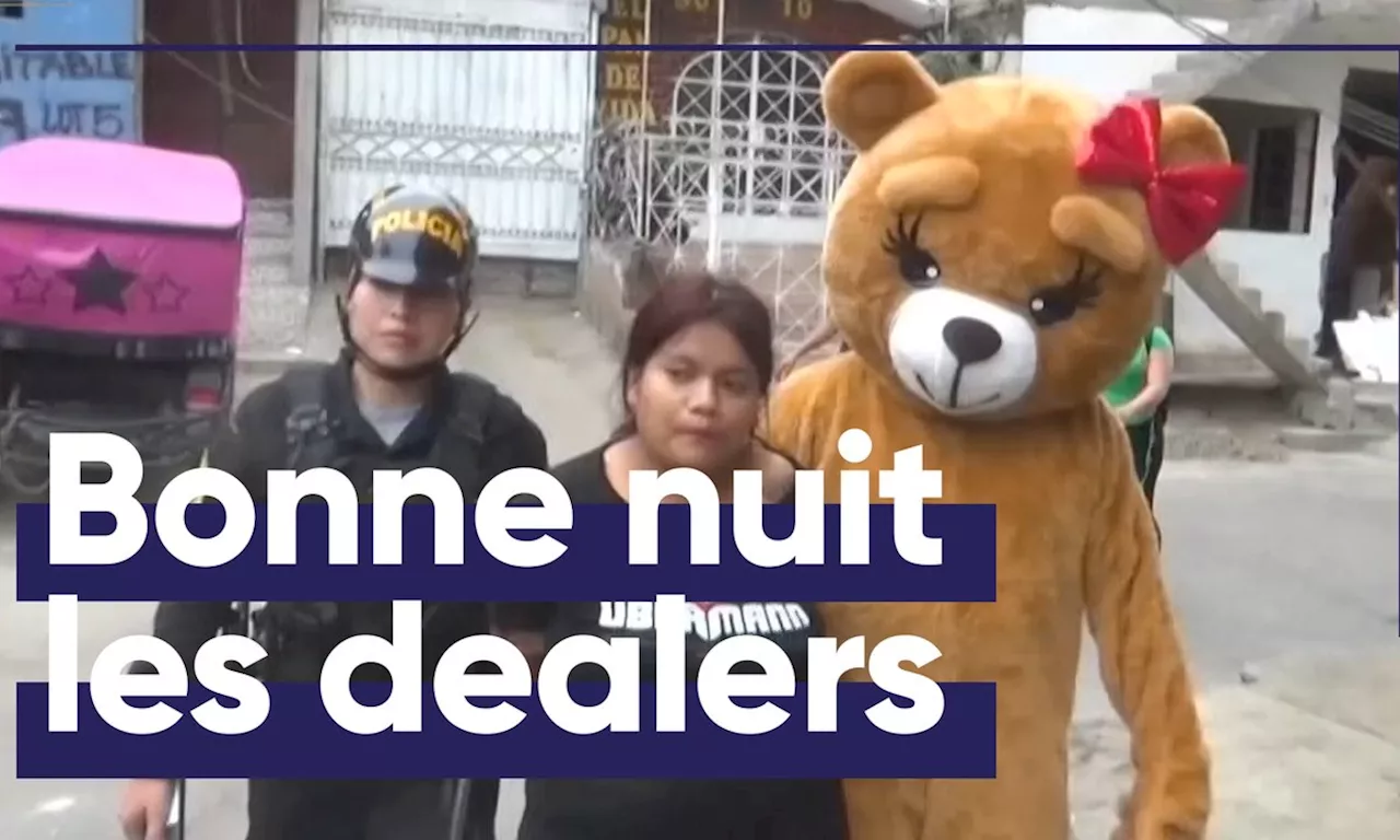 Déguisé en nounours, il arrête des narcotrafiquants - Journal de 13 heures