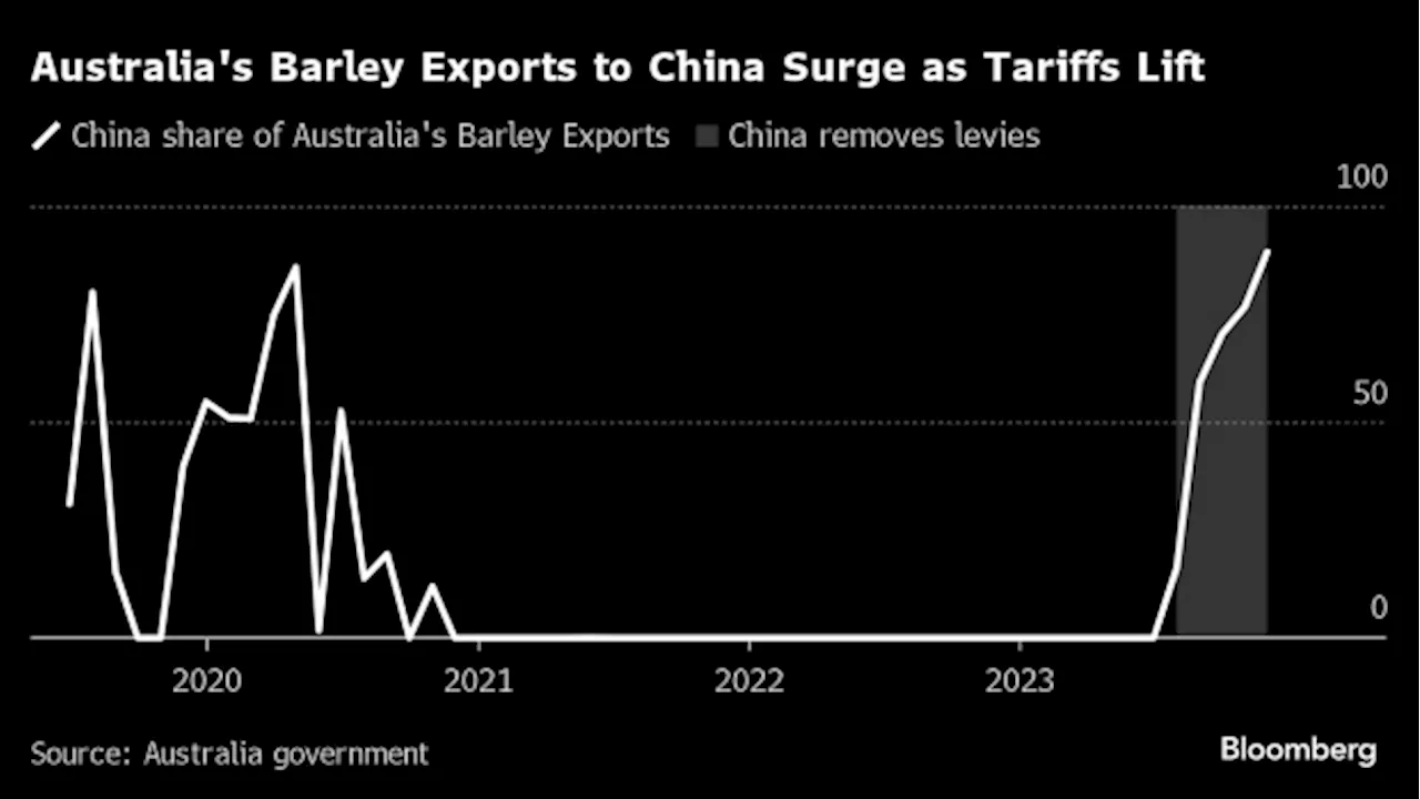 Australia’s Barley Sales to China Boom as Wine Decision Pending