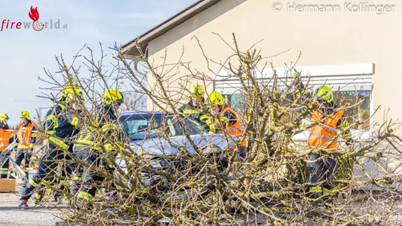 Oö: Pkw kollidiert in Alkoven mit Hauswand und fällt einen Baum