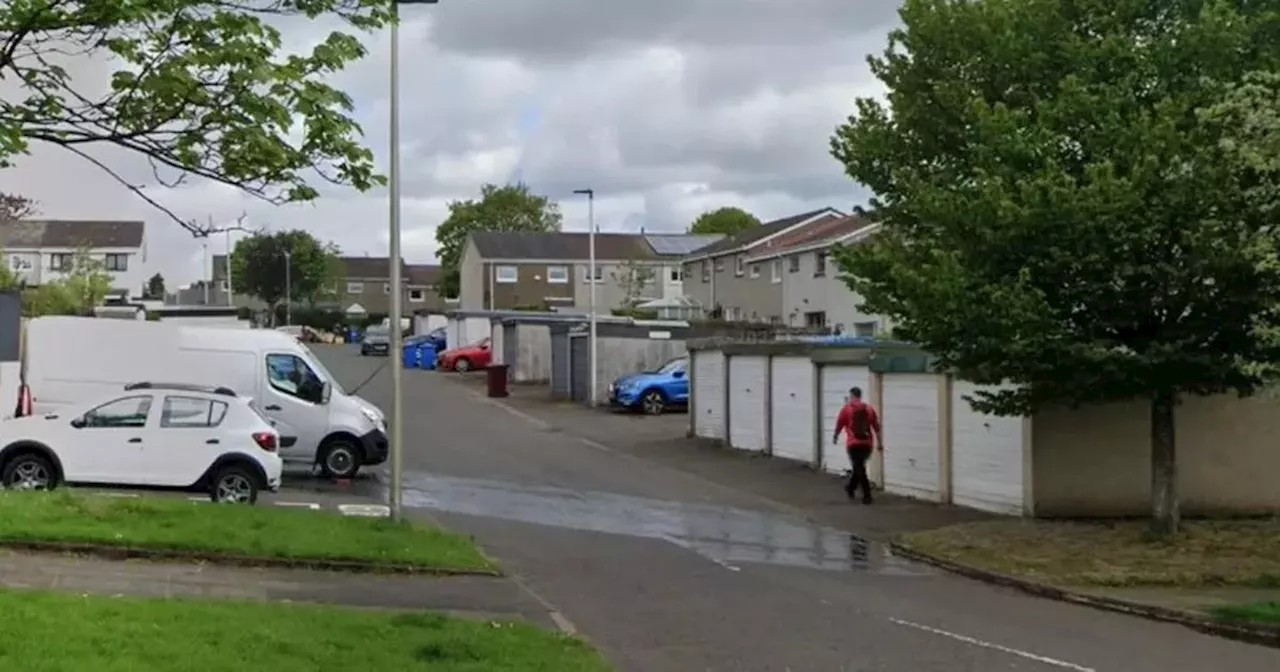 'Dangerous' East Kilbride dog shot dead after mauling Collie and injuring three people