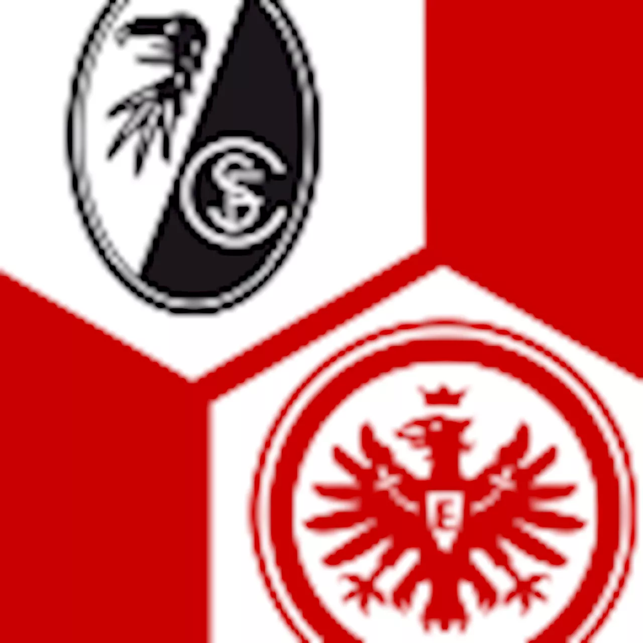  Eintracht Frankfurt 2:3 | 22. Spieltag