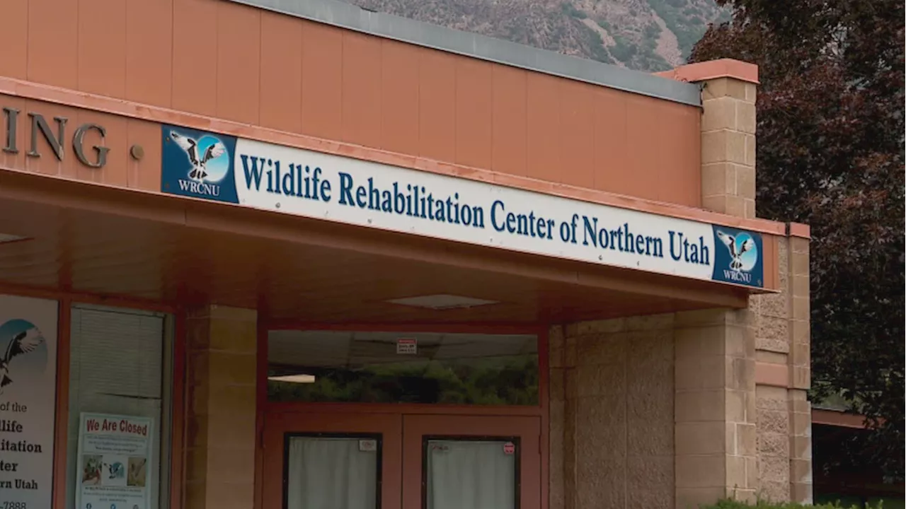 Wildlife Rehabilitation Center of Northern Utah moving operations after order to vacate