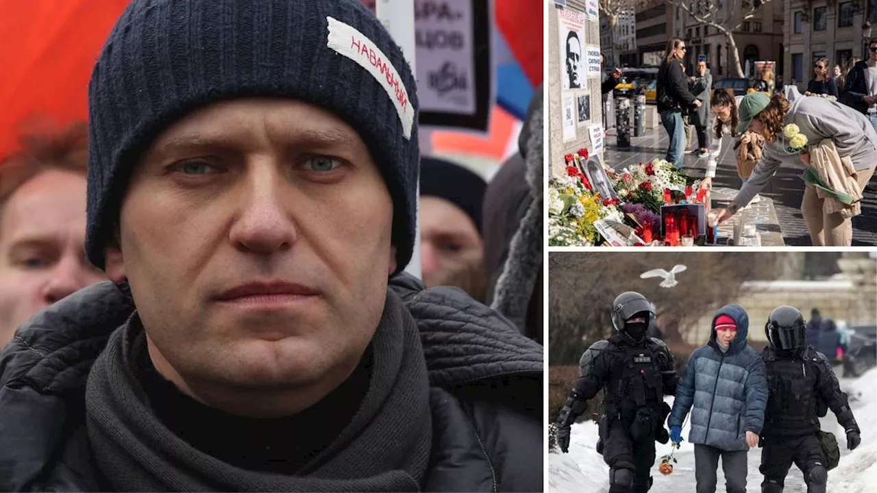 Navalny’s body found ‘covered in bruises’ consistent with ’signs of seizure’ in Arctic morgue