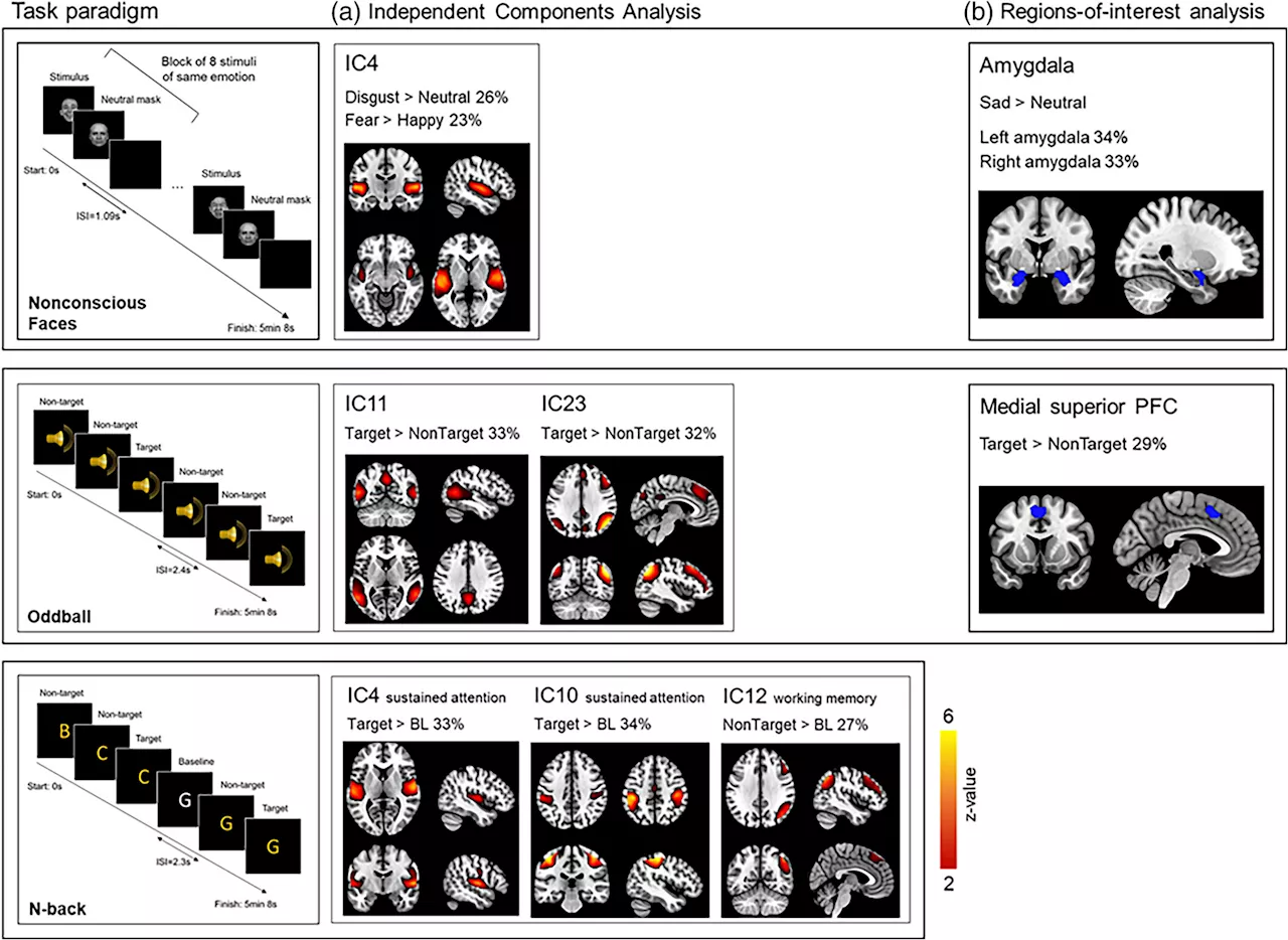 Nature vs nurture: Twin study sheds light on heritable brain activity