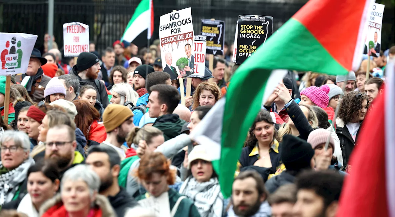 Two arrested following pro-Palestine protests in Dublin