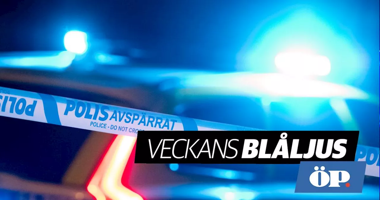 Veckans blåljus: Sköt jaktkamrat • Buss fastnade på tågspår