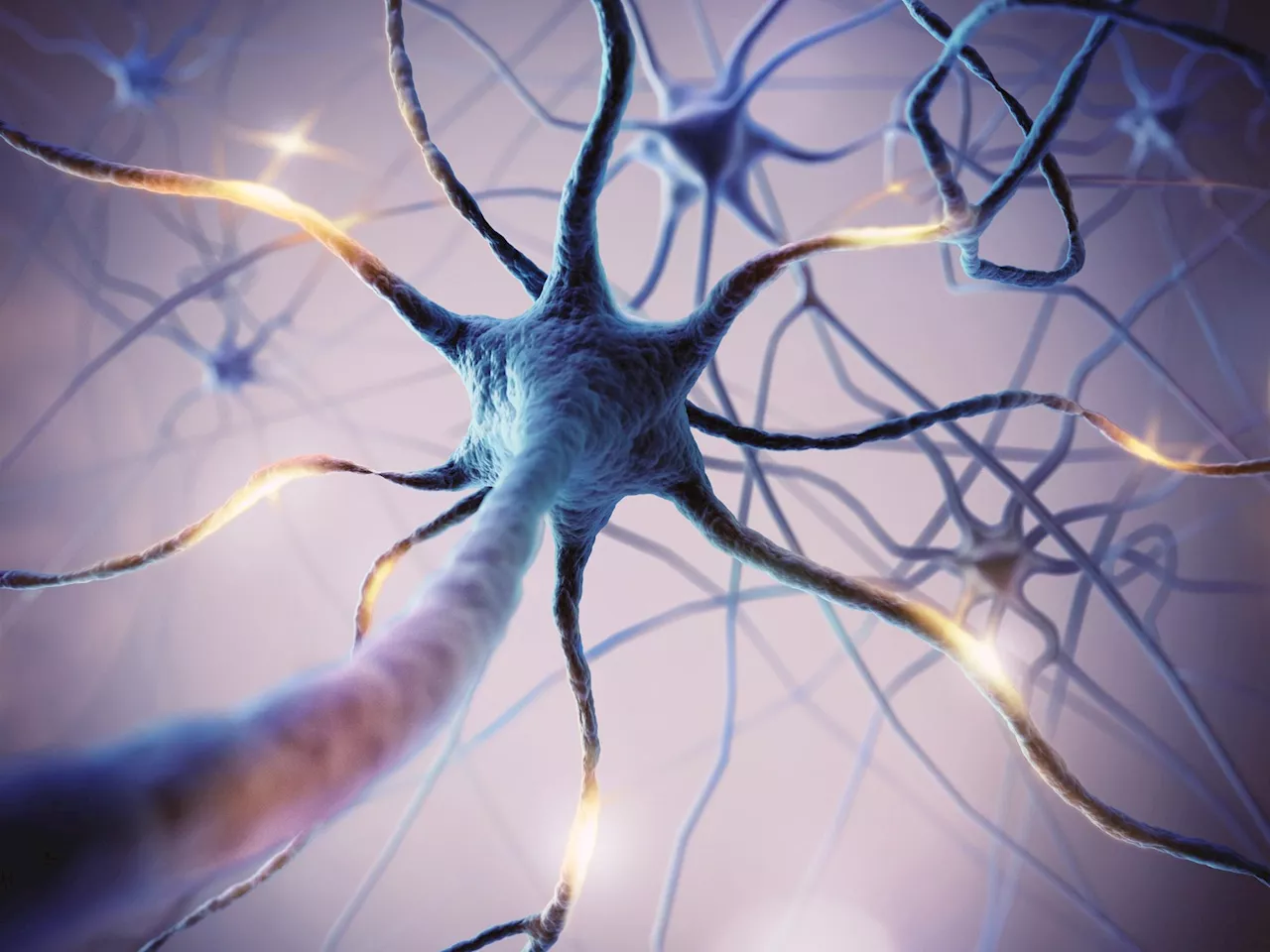 The Missing Puzzle Piece: Neuroscientists Discover New Group of Brain Cells