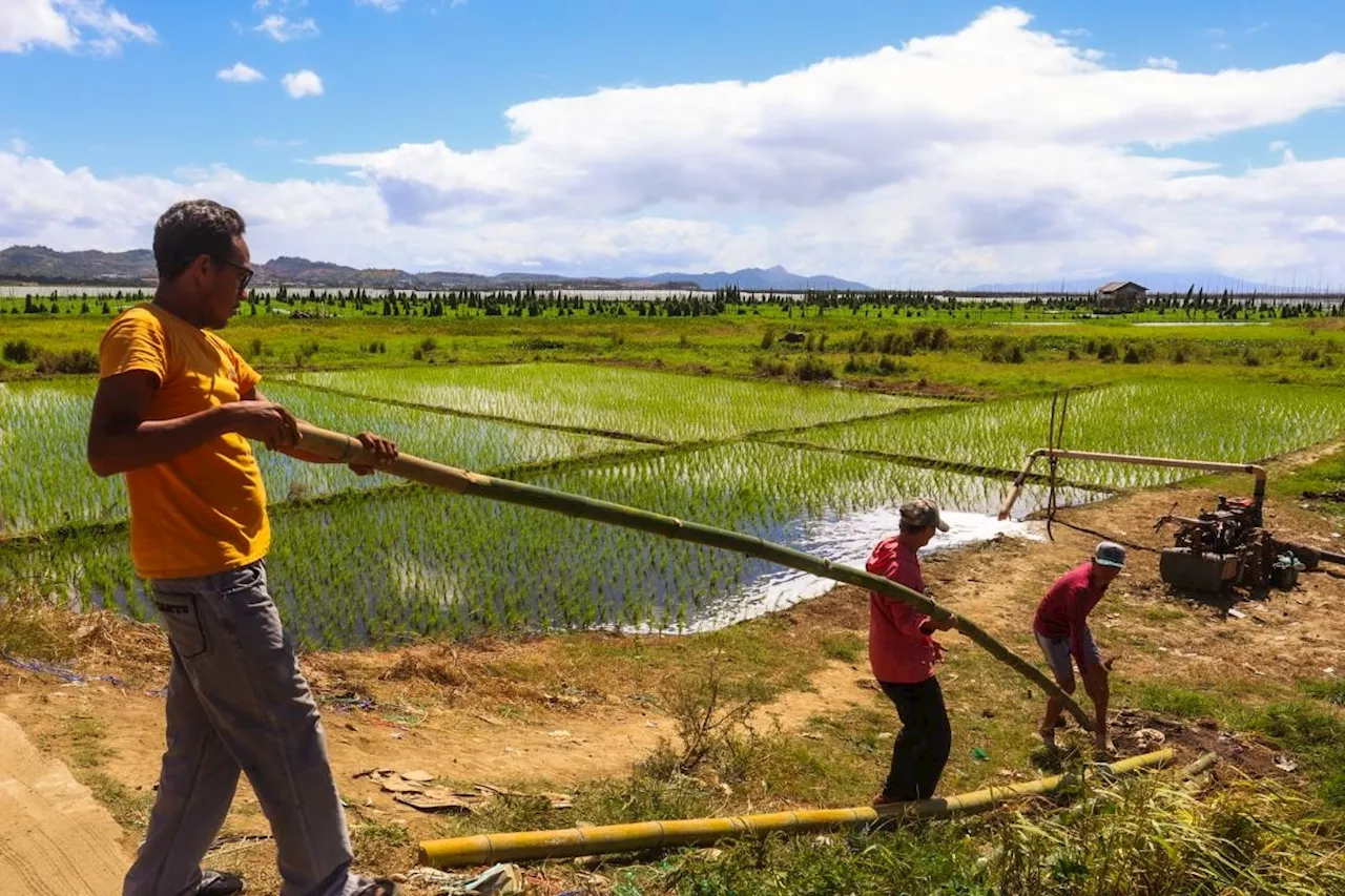 Thousands of Farmers Affected by El Niño to Receive Aid